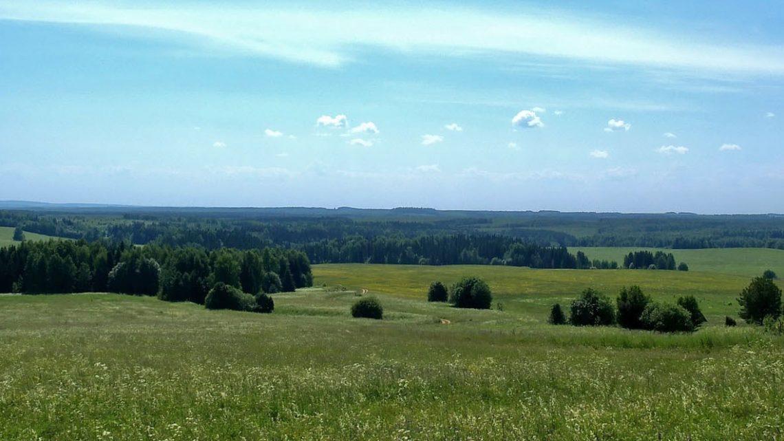 Сайт — для тренировки. Надоест — продам.