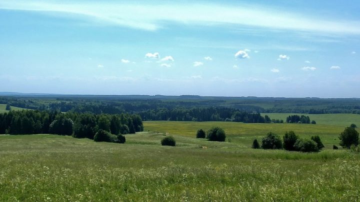 Сайт — для тренировки. Надоест — продам.